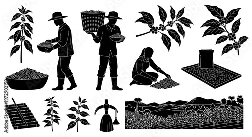 Coffee Farming Plantation Silhouette Farmer Harvest Vector Isolated on White