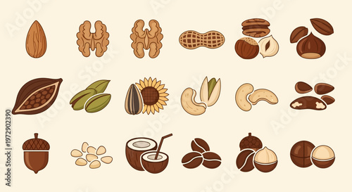 Large Collection of Nut and Seed Icons Featuring Almond, Walnut, Peanut, Pistachio, Cashew, and Coconut - Flat Vector Illustration