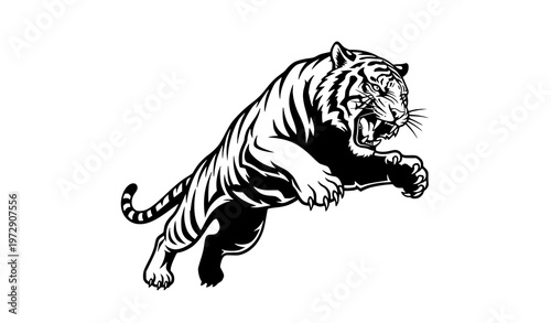 Leaping tiger roaring silhouette vector illustration powerful wild cat isolated on white background