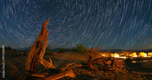Night Sky Star Trails Tree Log Mesquite Dunes Death Valley National Park Time-lapse 4K