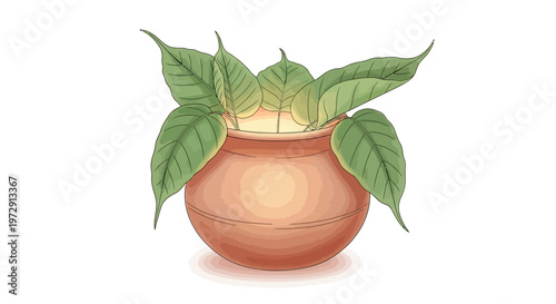 Small terracotta pot with green leaves.