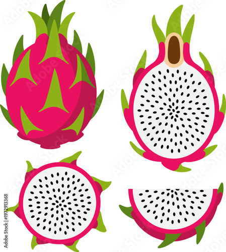 Flat vector illustration of fresh dragon fruit including whole, halved, and sliced pitaya pieces for exotic tropical food and smoothie design.
