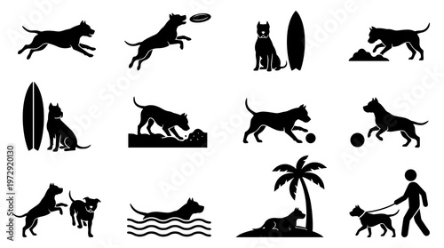 Black silhouette vector set of pitbull dog enjoying outdoor beach activities like running catching frisbee swimming playing with ball and walking with owner pictogram collection