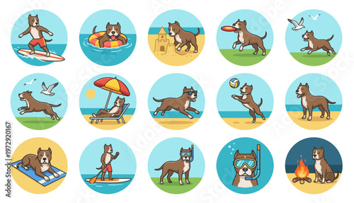 Set of cute pitbull dog enjoying summer vacation at the beach doing fun activities like surfing swimming playing frisbee relaxing and sunbathing vector illustration collection