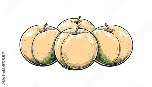 Group of apples with natural texture presented as fresh fruit food ingredient in illustration style vector