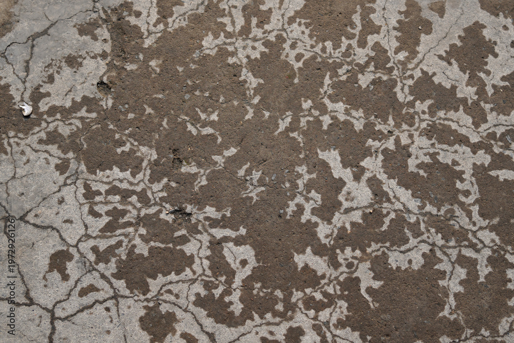Obraz premium Close-up view of cracked and weathered concrete surface texture