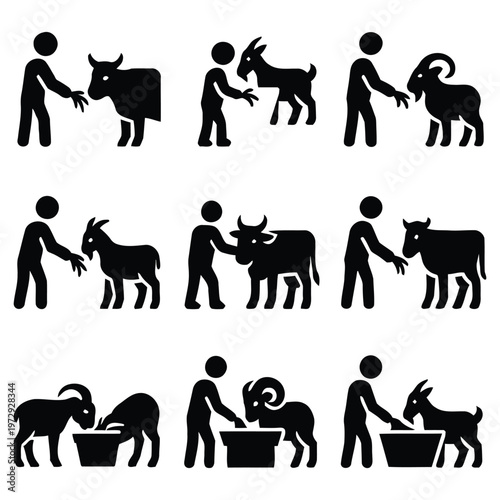 People feeding and taking care of livestock farm animals
