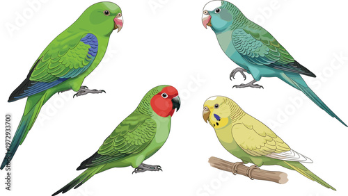 Colorful Parrot and Budgerigar Birds Set with Tropical Parakeets Perched on Branch Realistic Exotic Bird Illustration Collection