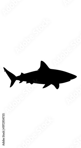 Black silhouette of a shark swimming.