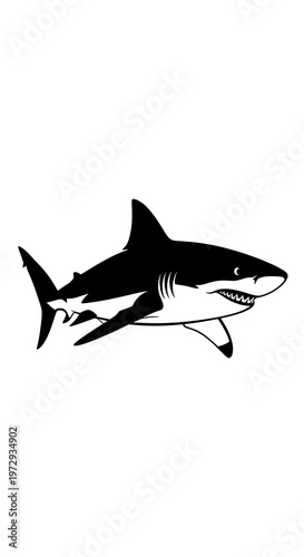 Black and white shark graphic illustration.