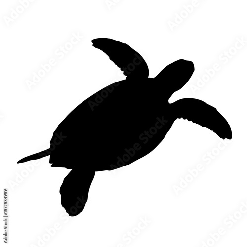 Black silhouette of a sea turtle.