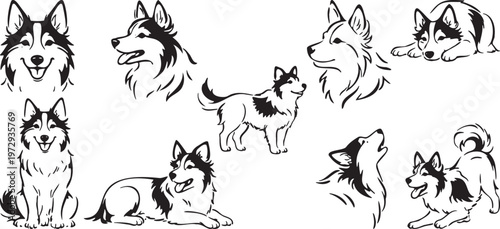 Siberian husky dog line icons set with different poses, head views and full body outline collection