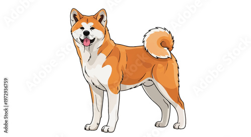 vector illustration of a red fox