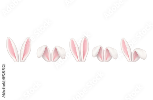 pink flower isolated on white