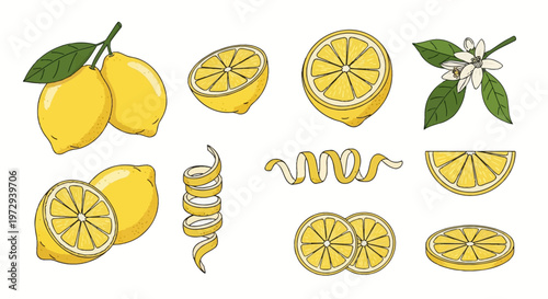 Set of vector lemon illustrations featuring whole yellow fruit with green leaves, cross-section halves, wedges, round slices, curled peel zest spirals, and a blossom flower on white.