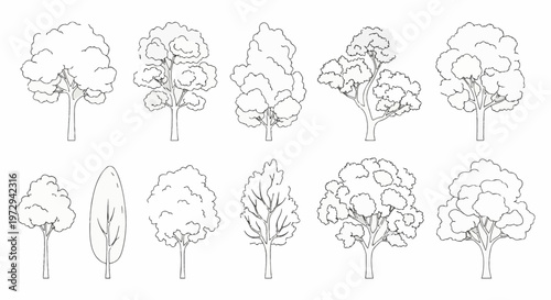 Set of eleven minimalist tree outline icons isolated on a white background. Black line art of various deciduous and evergreen tree shapes for coloring book or graphic design.
