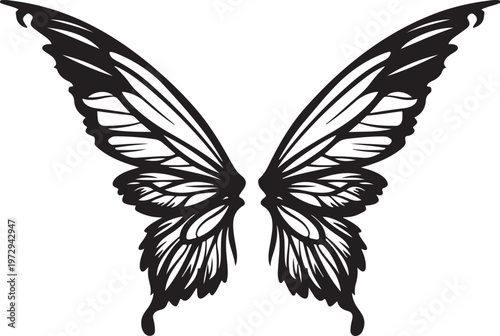 Black butterfly wings spread wide white background