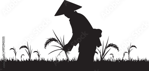 Black silhouette of person planting rice in field with conical hat
