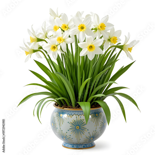 Icon White Daffodils in Blue and Gold Patterned Ceramic Pot narcissus flower