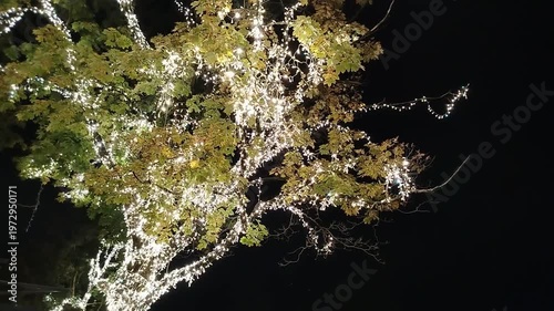 Illuminated tree branches adorned with glowing lights against a dark night sky, showcasing vibrant autumn leaves and creating a festive atmosphere in a serene outdoor setting