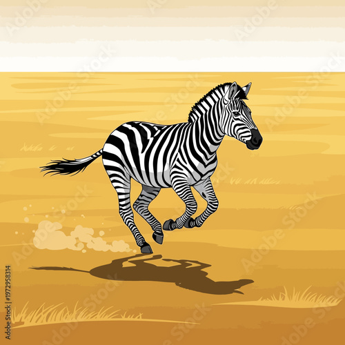 Zebra Running in the Savannah Fast.