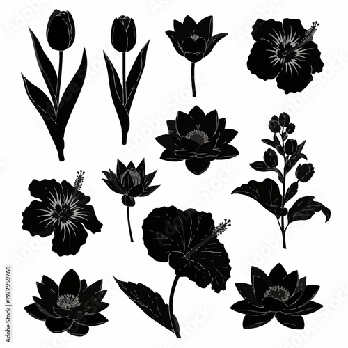 Collection of black floral silhouettes featuring tulips, tropical hibiscus flowers, lotus blossoms, and water lilies with detailed white internal outlines on white background.
