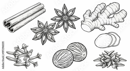 Set of hand-drawn vintage style spice illustrations including cinnamon sticks, star anise pods, fresh ginger root with slices, aromatic cloves, and whole nutmeg seeds on white background.