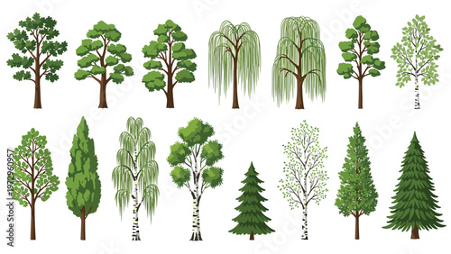 Diverse set of various green tree types including deciduous and evergreen species illustrated in a detailed vector style for landscape design.
