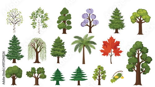 Detailed set of diverse tree species with various leaf shapes colors and structures for landscaping and environmental illustration.