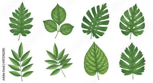 Set of eight botanical watercolor illustrations of green leaves isolated on white background, featuring monstera, trifoliate foliage, pinnate leaves, and serrated plant shapes.