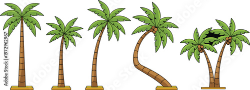 Cartoon palm tree collection with different tropical shapes and styles, isolated summer beach plants in colorful vector illustration set