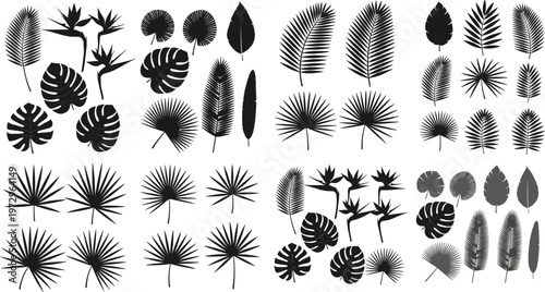 Tropical leaves and trees silhouette mega collection with palm, monstera, and botanical elements in black vector illustration set