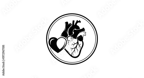 Anatomical heart with stethoscope and heart symbol in a circle