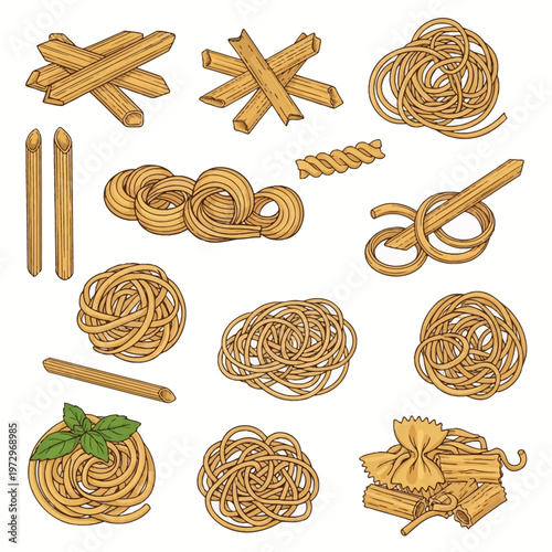 Hand-drawn illustration set of various dry Italian pasta types featuring spaghetti nests, penne rigate, spiral fusilli, bow-tie farfalle, and basil leaves on white background.