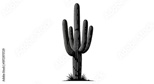 Minimalist black and white vector illustration of a tall saguaro cactus with multiple arms and vertical ribbing detail, isolated on white background for desert nature design.