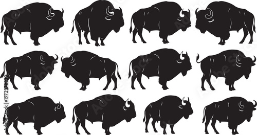 Black bison silhouettes on white background illustration set