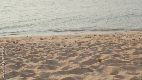 Blue sea on sand beach background, wave water summer at coast, natural summer for tourism travel in holidays.