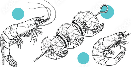 Fresh shrimp and prawn skewers illustration featuring whole shellfish and grilled seafood kabobs for restaurant menus or seafood market branding in vintage hand drawn sketch style