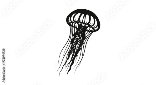 Black and white jellyfish silhouette illustration featuring long flowing tentacles and detailed bell patterns isolated on a white background for marine nature graphic design.