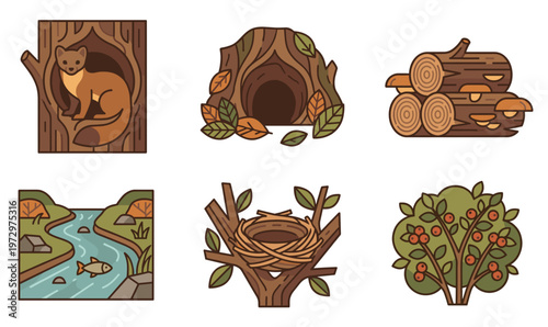 Marder tier vector nature habitat illustration set. Flat graphic design of marten in tree hole, forest burrow, wood logs, river with fish, bird nest, and bush with red berries.
