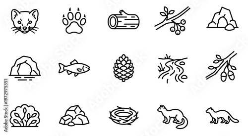 Marder tier vector outline icons set. Wild forest animal and nature line art elements featuring marten head, paw print, cave, river, fish, pinecone, and berries for design.