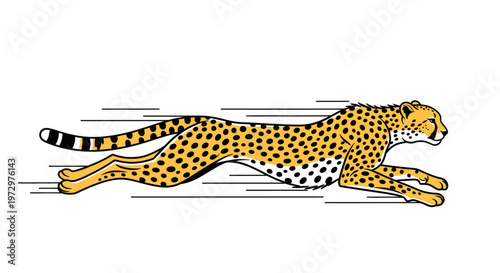 Cheetah Running Fast on Ground.