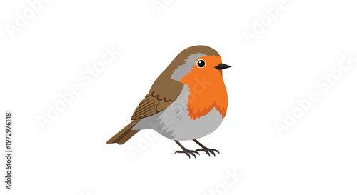 Small Bird With Orange Face Standing.