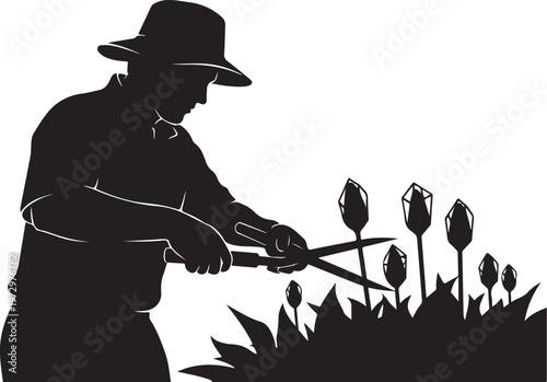 Black silhouette of man pruning tulips with shears