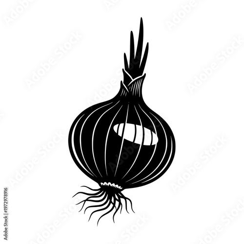 Black onion with root system illustrated in simple line drawing style