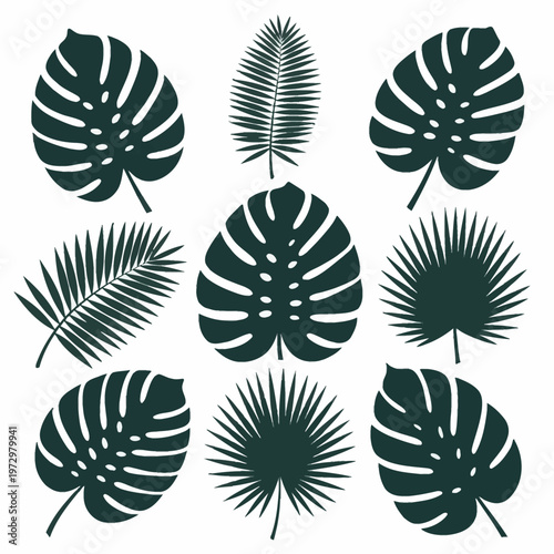 Set of dark green tropical leaf silhouettes including monstera deliciosa with fenestrations, pinnate palm fronds, and palmate fan palm leaves isolated on a white background.