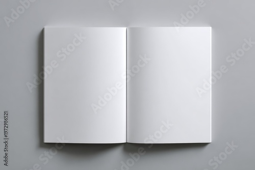Open Blank Book Pages on a Plain Background Mockup.