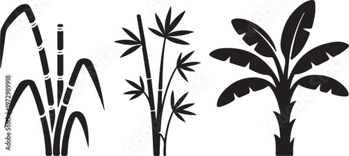 tropical plants sugarcane bamboo and banana leaves clean silhouette vector illustrations