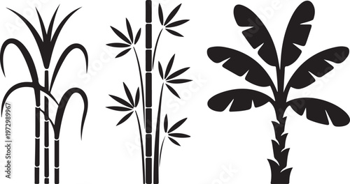 tropical plants sugarcane bamboo and banana leaves clean silhouette vector illustrations