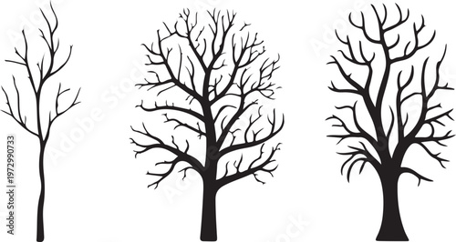 Vector silhouette of tree.